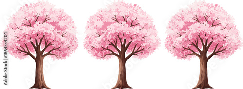Three pink cherry blossom trees vector illustration isolated on white for spring floral landscape design