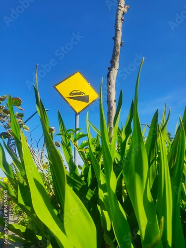A yellow traffic sign warning of a downhill slope with a car image, framed by tall green plants and a clear blue sky in the background, creating a calm yet alert atmosphere