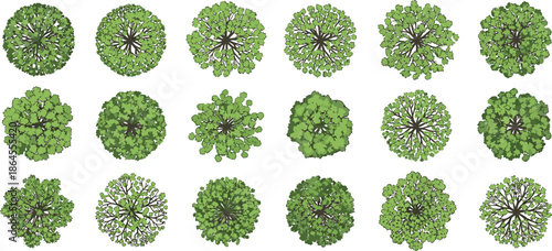 Top view green tree canopies vector set for landscape planning urban design maps and nature illustration projects