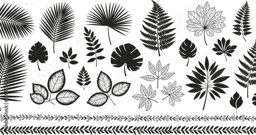 Black botanical leaves and foliage silhouettes vector set with decorative branches tropical and forest plant elements