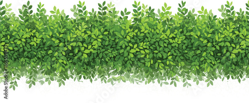 Green leafy hedge border vector illustration seamless foliage background isolated on white for garden design
