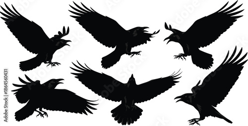 Flying raven silhouettes collection, black crow wings spread attack and landing poses, dark gothic wildlife nature vector illustration isolated on white