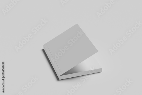 branding book mockup