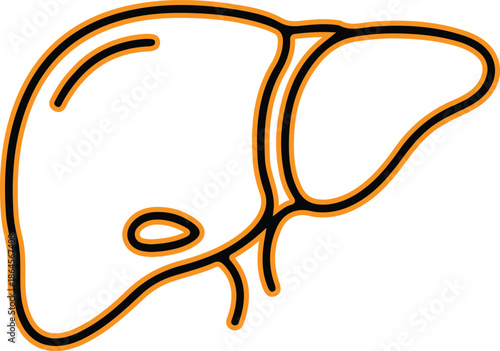 Liver organ vector illustration icon