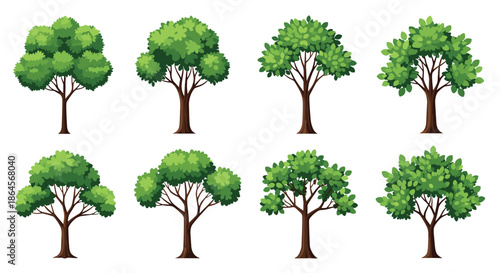 Comprehensive set of various deciduous green trees with different crown shapes and leaf densities, isolated on a plain white background.