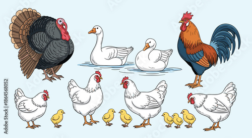 Group of various domestic poultry birds including a large turkey, rooster, hens, ducks, and tiny yellow chicks on a light blue background.