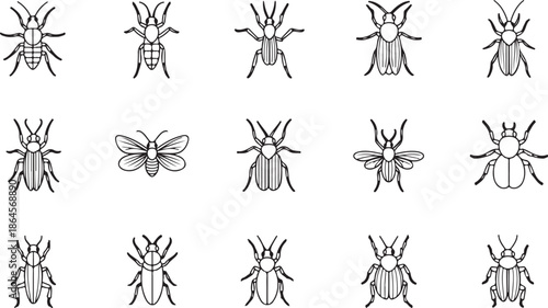 A collection of various insect illustrations on a white background