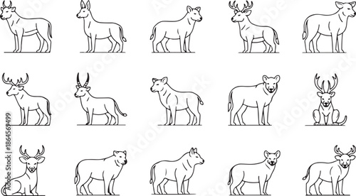 A collection of various wild animals in simple line drawings