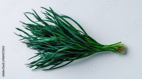 Pile of Green Sea Asparagus on White Background in Soft Lighting, Close up Top View of Fresh Samphire
