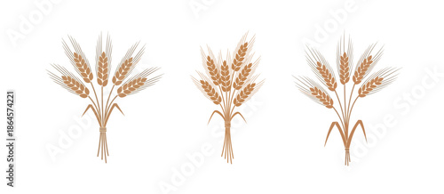 Collection of stylized golden grain stalks, meticulously arranged in bundles to evoke a sense of harvest, nature's bounty, and the foundations of sustenance
