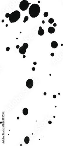 Chaos in Black and White