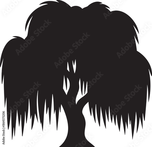 Black silhouette of a weeping willow tree with cascading branches white nature