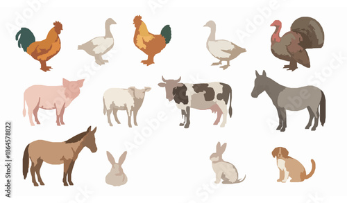 Soft Watercolor Farm Animal Illustrations for Education and Learning Materials