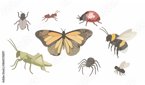 Soft Watercolor Insect Illustrations for Kids Education and Learning