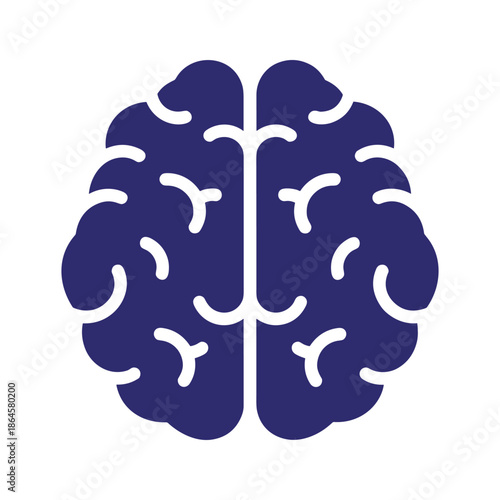 Brain Illustration Vector
