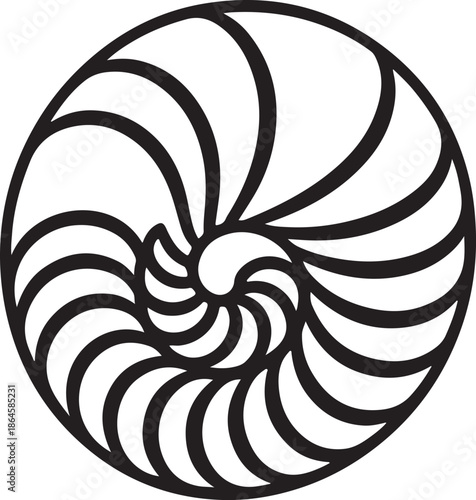 Nautilus Shell Spiral Pattern Line Art Coloring Book Page Outline Vector Illustration