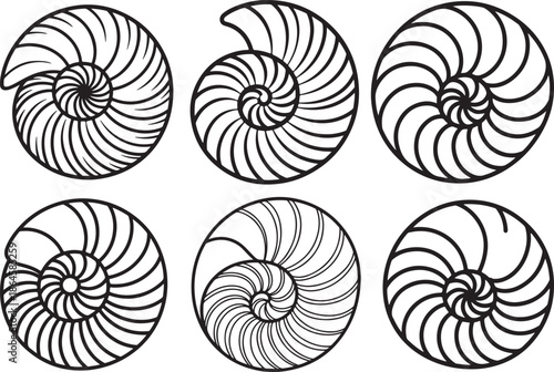 Set of Nautilus Shell Spiral Pattern Line Art Coloring Book Page Outline Vector Illustration