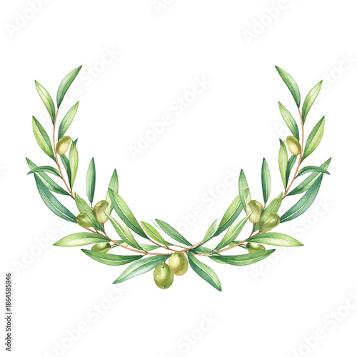 Watercolor Olive Branch Wreath with Green Olives and Leaves olive vector illutrastion transparent background