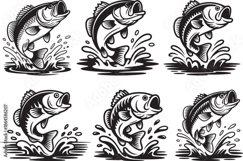 Set of Large Bass Fish Leaping Out of Water Silhouette Vector Illustration