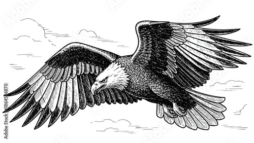 Detailed sketch of a majestic eagle with open wings