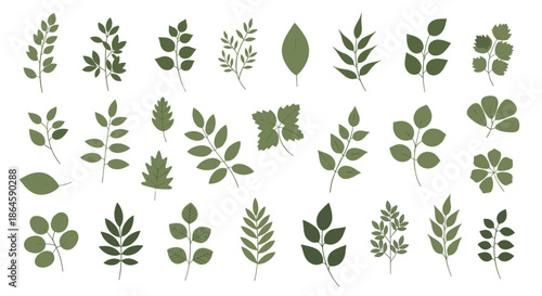 Large collection of diverse green leaves and botanical branches in a flat vector style on a clean white background.