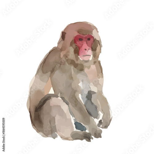Watercolor-style Japanese macaque illustration／ニホンザル