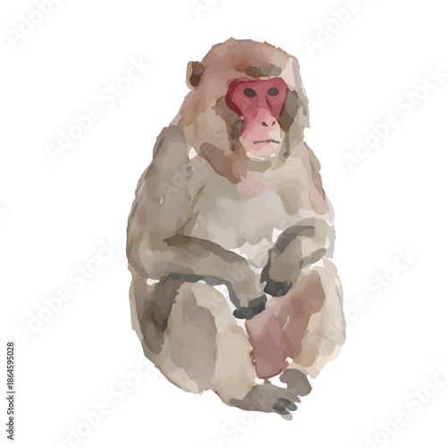 Watercolor-style Japanese macaque illustration／ニホンザル