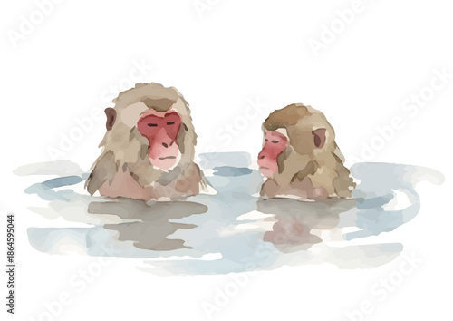 Watercolor-style Japanese macaque illustration／ニホンザル