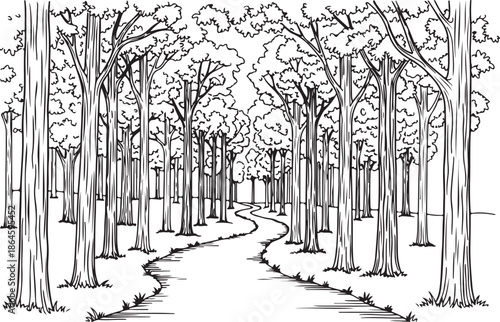 Lush Green Forest Landscape with Tall Trees and Sunlight, Nature Background Vector Illustration