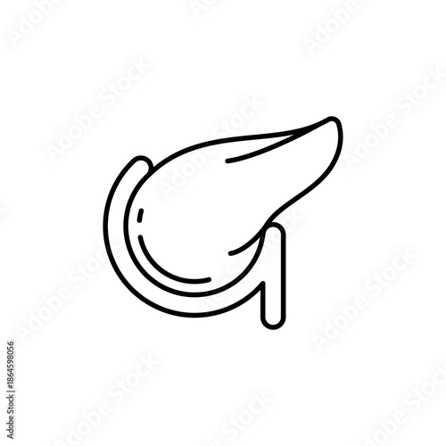 Suitable for medical presentations, educational materials, and sciencerelated designs. Illustration shows detailed structure of human pancreas. Useful for medical illustrations.