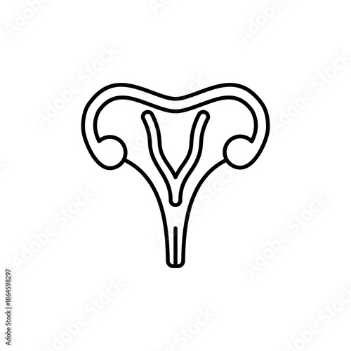 Simple line drawing of uterus and fallopian tubes, perfect for medical and educational graphics related to female reproductive system.