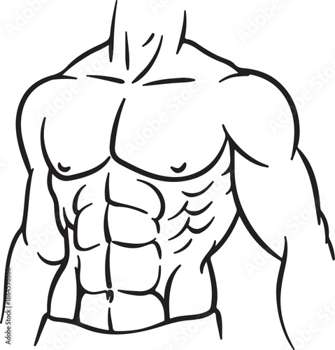 Illustration of a muscular male torso on transparent background body fitness muscle abs chest arm anatomy human drawing cartoon line art workout exercise healthy lifestyle