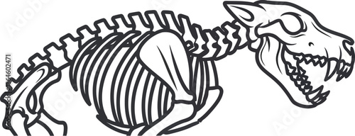 Detailed black and white line art illustration of a canine animal skeleton showing its rib cage spinal column and menacing open jaw design.