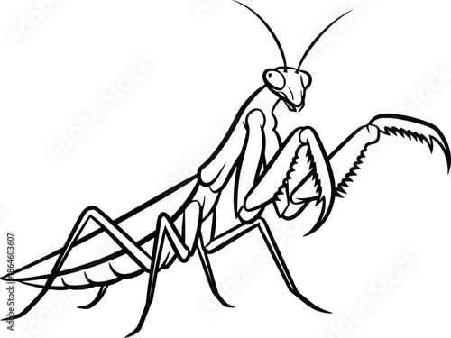 Striking black and white line art illustration showcasing a detailed praying mantis poised and ready with its prominent raptorial forelegs extended in a classic waiting stance