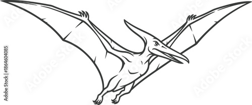 Black and white outline drawing of a soaring pterodactyl reptile in flight with wings fully spread against a stark white background illustration outline style
