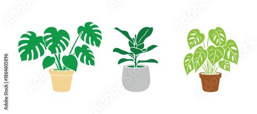 Vibrant houseplant set. A doodle illustration of indoor plants in flower pots.

