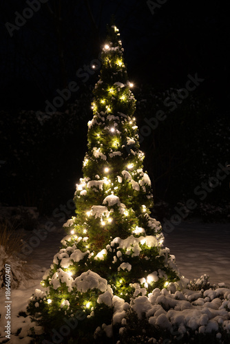 Christmas tree with white lights and snow