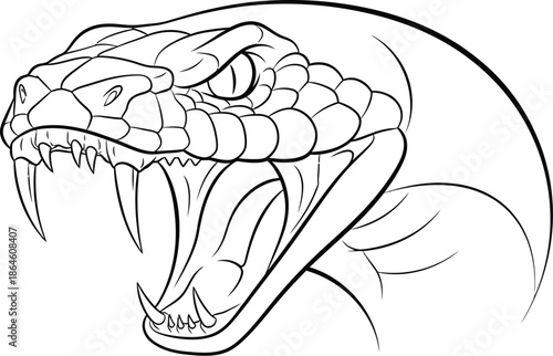 Fierce black and white line art drawing illustrating a dangerous viper snake head wide open ready to strike with prominent fangs and detailed scales
