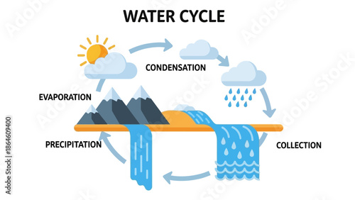 The Water Cycle A Detailed Illustration of Evaporation, Condensation, Precipitation, and Collection