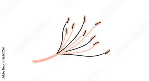 Minimalist hand-drawn botanical illustration of a delicate plant sprig with multiple stems in a simple pink and black design.