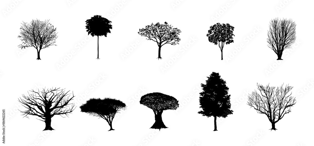 Fototapeta premium Tree Silhouette Vector Illustration, Black Tree Icon Isolated, Nature Forest Plant Silhouette Design