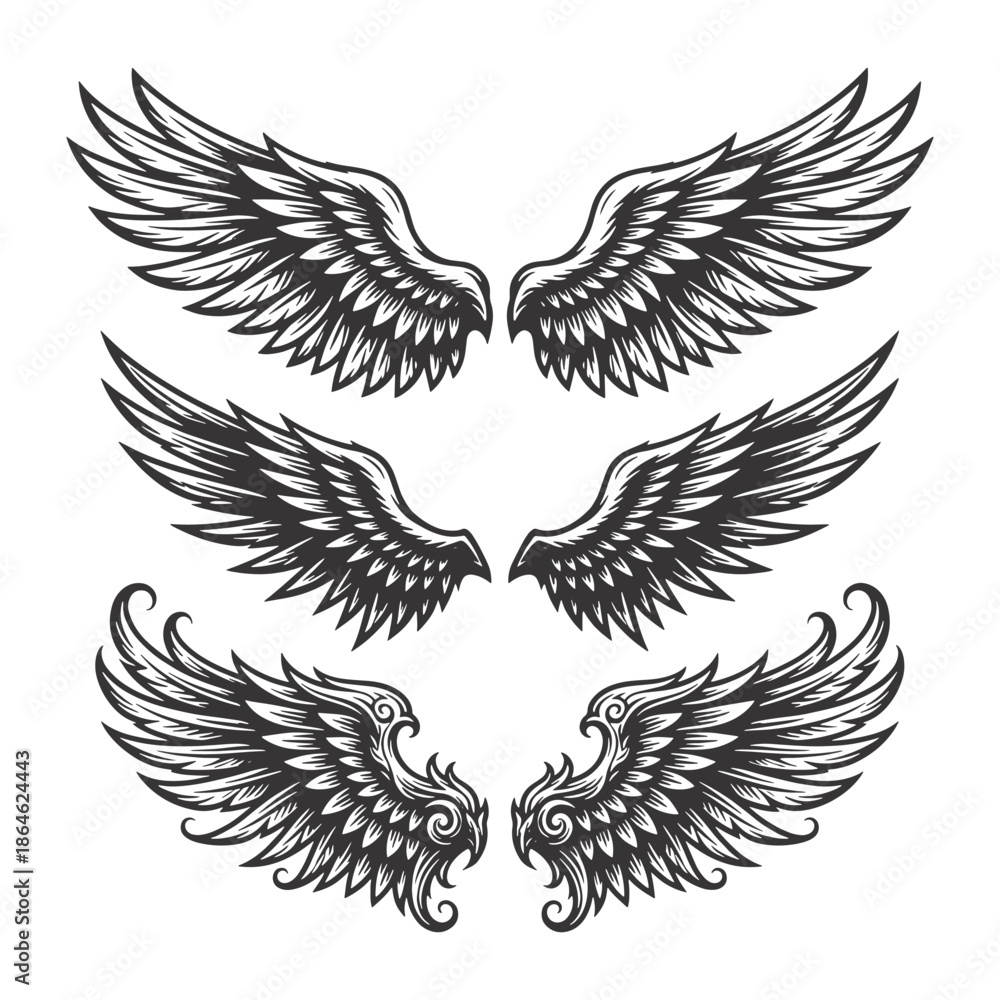 Obraz premium Three Sets of Detailed Decorative Feathered Wings Vector Illustration Collection