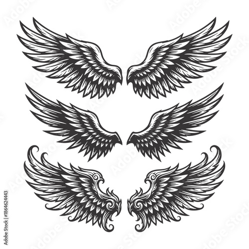 Three Sets of Detailed Decorative Feathered Wings Vector Illustration Collection