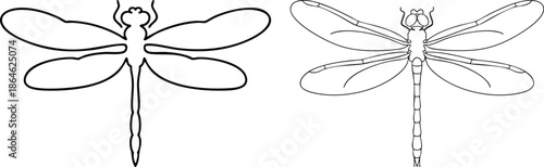 Black and White Dragonfly Illustrations, Simple and Detailed Dragonfly Sketches, silhouette, illustration, vector