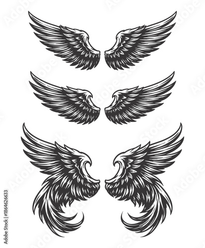 Collection of Three Different Pairs of Feathered Angel Wings Vector Illustration