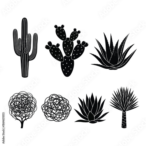 Collection of various desert plants and cacti Vector, illustration