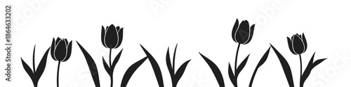 Minimalist black silhouette illustration of tulip flowers forming a decorative floral border. Ideal for spring designs, botanical themes, banners, invitations, backgrounds, and elegant graphic.
