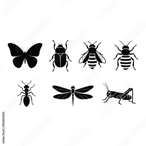Collection of various insect silhouettes on white background Vector, illustration