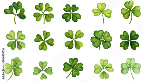Shamrocks and Four-Leaf Clovers Growing on White Background in Digital Vector Style