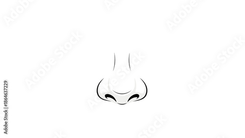 A stylized illustration of a human nose